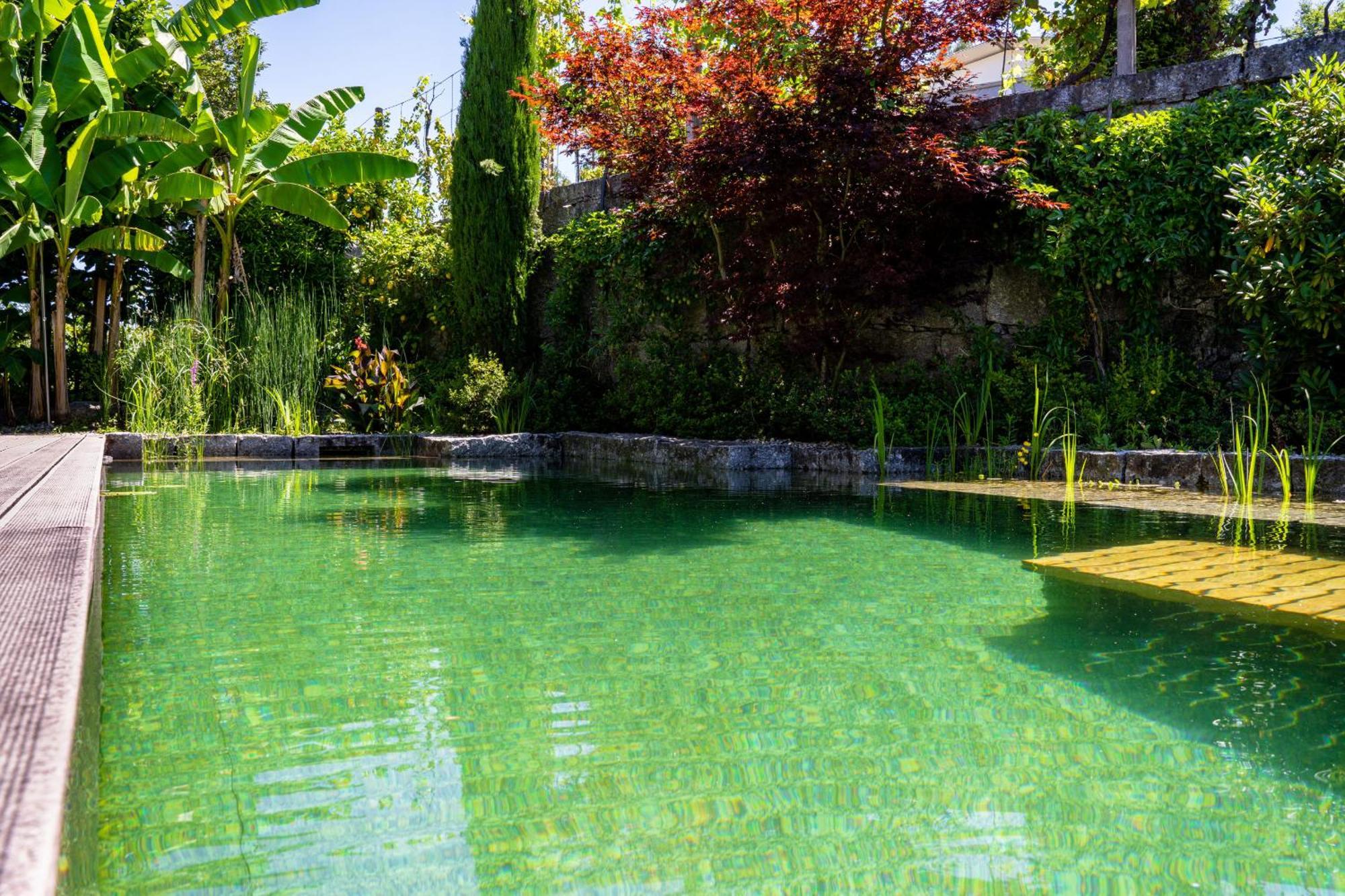 Gondomar Guimaraes - Moradia V3 Com Piscina Natural By House And People Eksteriør billede